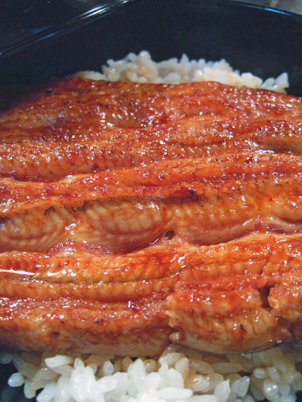 2005_0911unagi0007.jpg