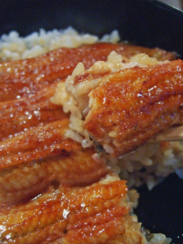 2005_0911unagi　0011.jpg