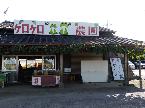 2011_0926yukari0133nasi.jpg