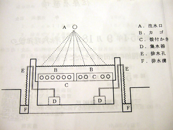 DSCF2025kaki.jpg